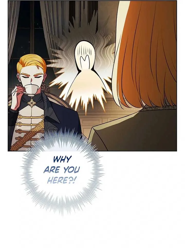Leave the Divorce to a Professional Lawyer Chapter 23 page 94