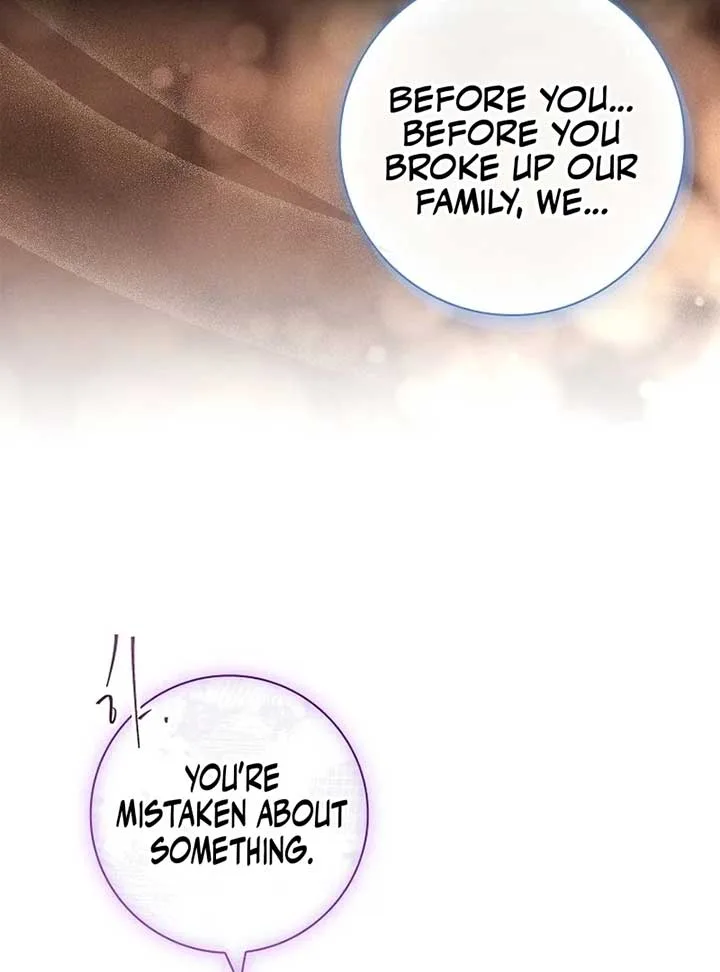 Leave the Divorce to a Professional Lawyer Chapter 25 page 46