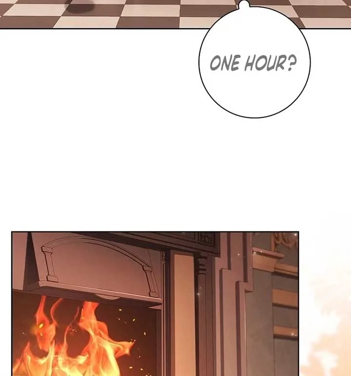 Leave the Divorce to a Professional Lawyer Chapter 25 page 96