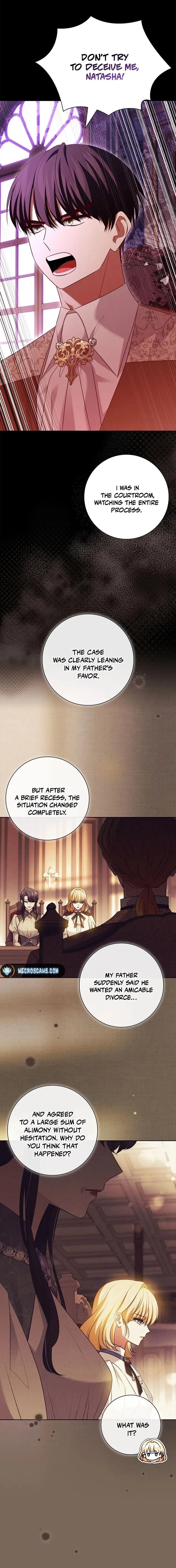 Leave the Divorce to a Professional Lawyer Chapter 30 page 9