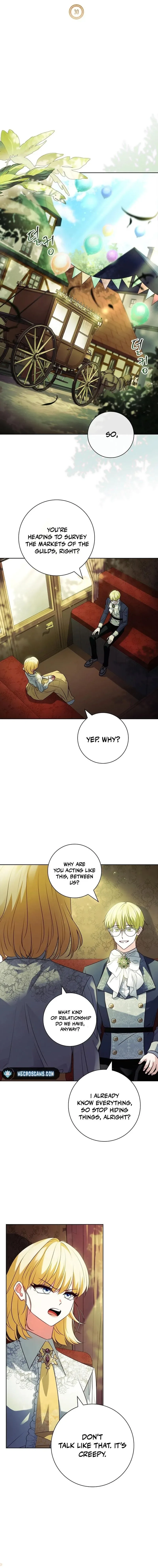 Leave the Divorce to a Professional Lawyer Chapter 30 page 13