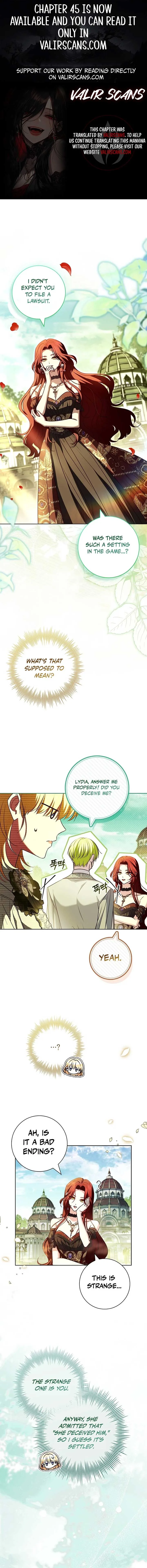 Leave the Divorce to a Professional Lawyer Chapter 39 page 2