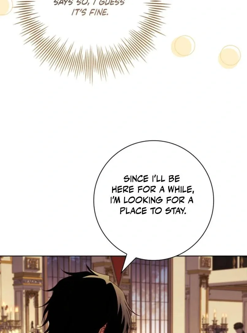 Leave the Divorce to a Professional Lawyer Chapter 48 page 49