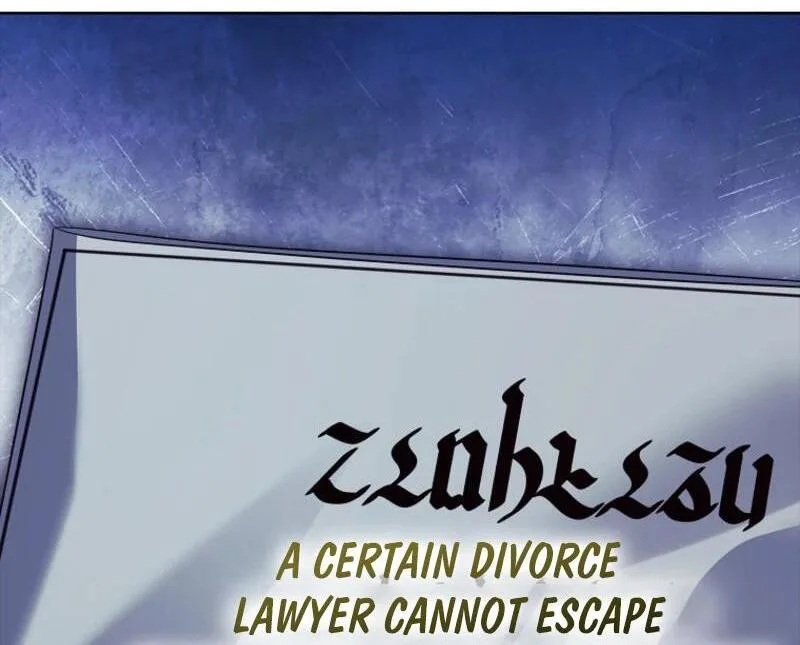 Leave the Divorce to a Professional Lawyer Chapter 48 page 149