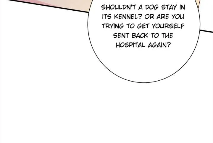 Mr. Qiao, Madam Is Spoiled by You Chapter 47 page 70