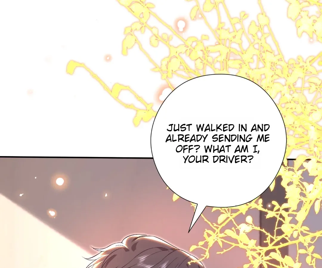 Mr. Qiao, Madam Is Spoiled by You Chapter 67 page 13