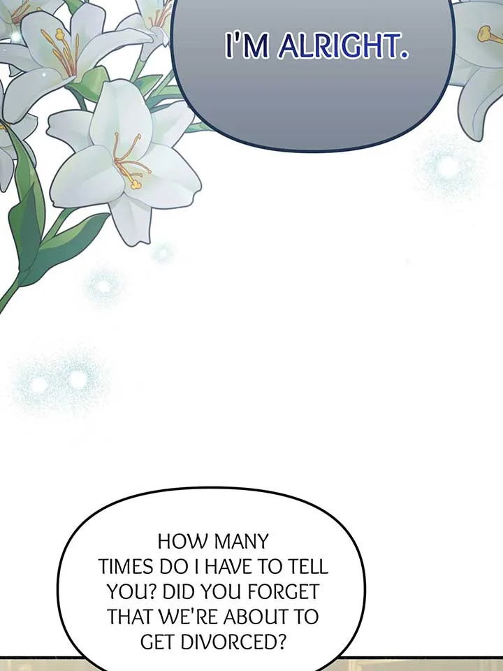 My Angelic Husband is actually a Devil in Disguise Chapter 96 page 105