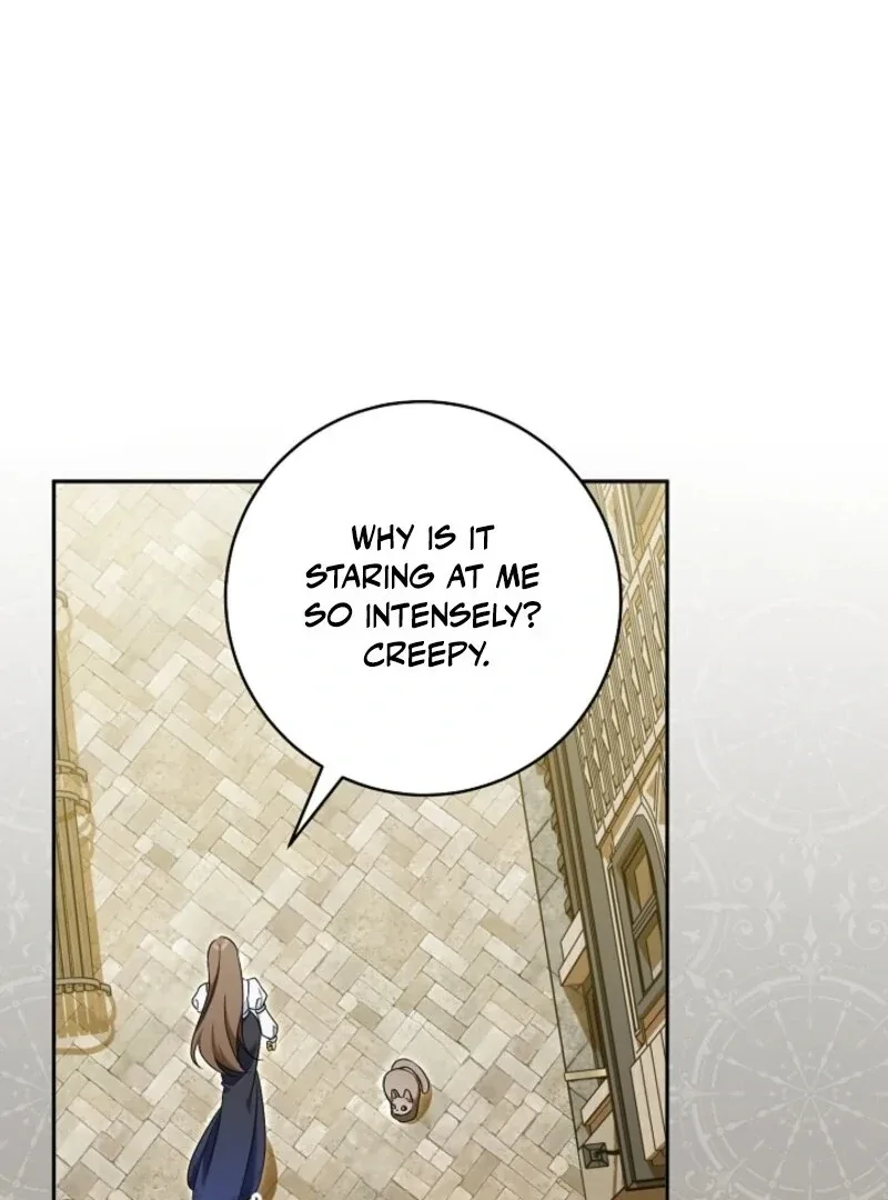 My Dream is to Get My Own House Chapter 35 page 16