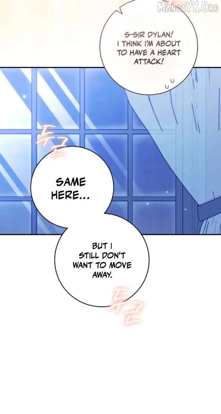 My Dream is to Get My Own House Chapter 40 page 37