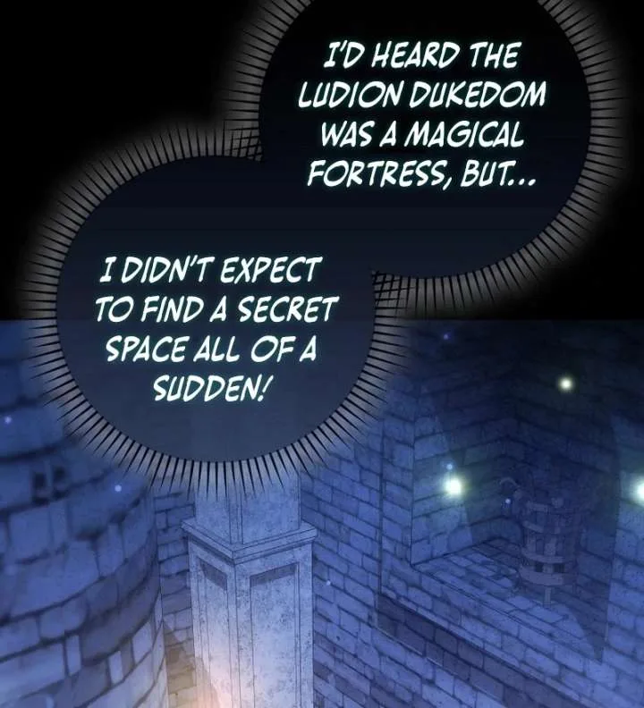 My Husband Is My Ultimate Bias, but I Think He Wants a Divorce Chapter 23 page 9