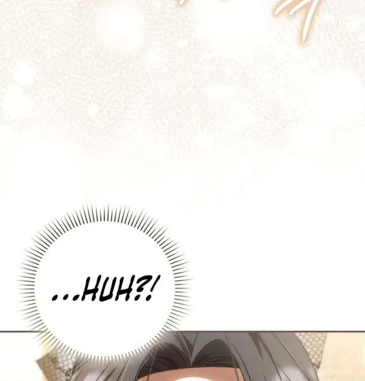 My Husband Is My Ultimate Bias, but I Think He Wants a Divorce Chapter 23 page 4
