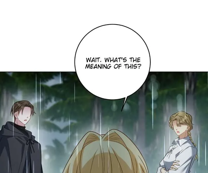 Reincarnated As the Villain Queen to Get My Revenge Chapter 40 page 29