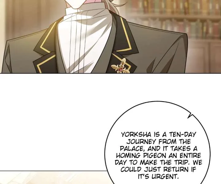 Reincarnated As the Villain Queen to Get My Revenge Chapter 49 page 47