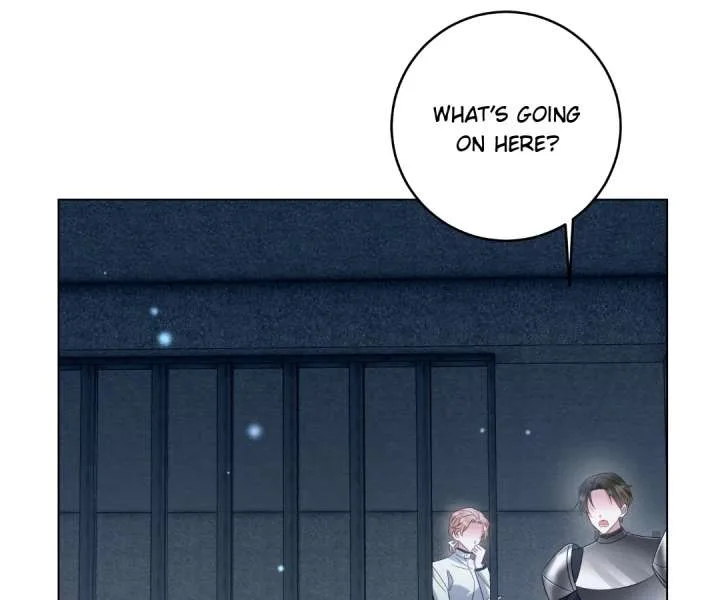 Reincarnated As the Villain Queen to Get My Revenge Chapter 63 page 56