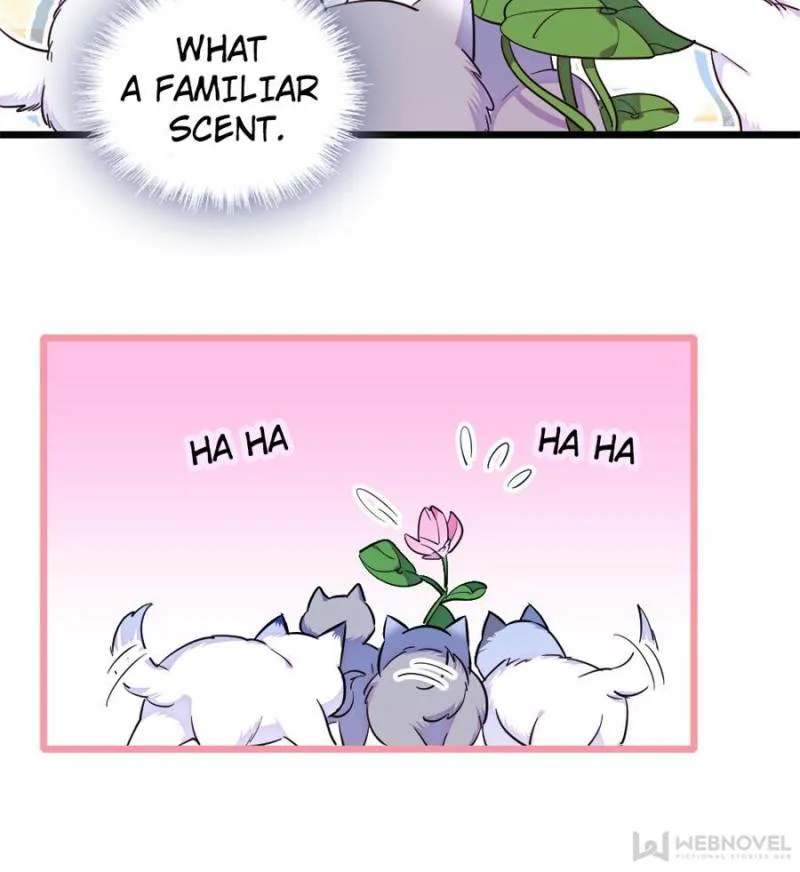 Romance in the Beast World Chapter 234 page 18