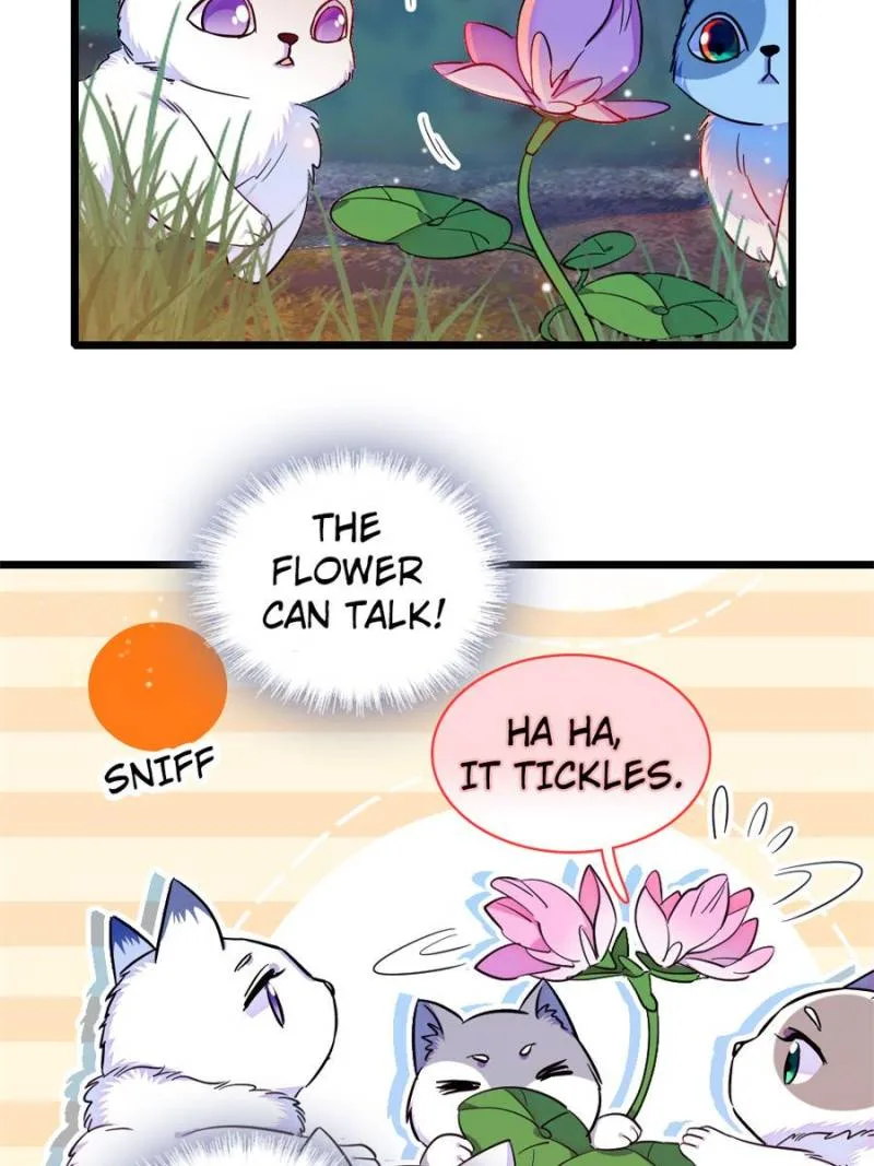 Romance in the Beast World Chapter 234 page 17