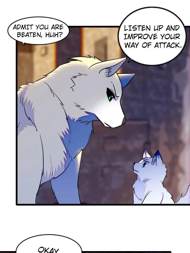 Romance in the Beast World Chapter 359 page 13