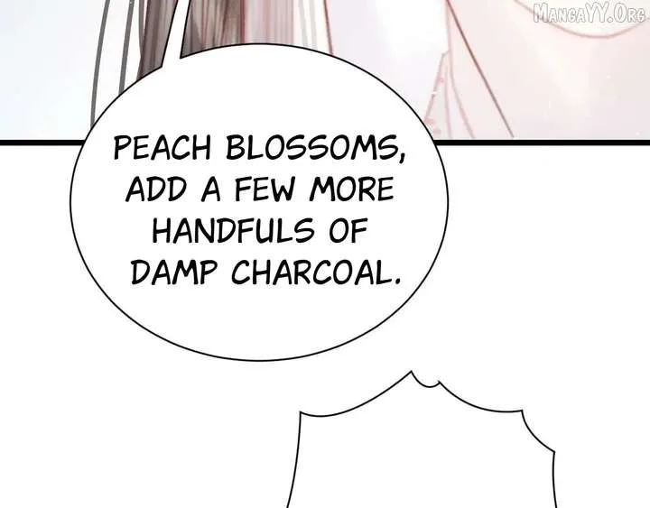 Shao Hua Long: Rebirth of the Evil Concubine’s Counterattack Chapter 28 page 234