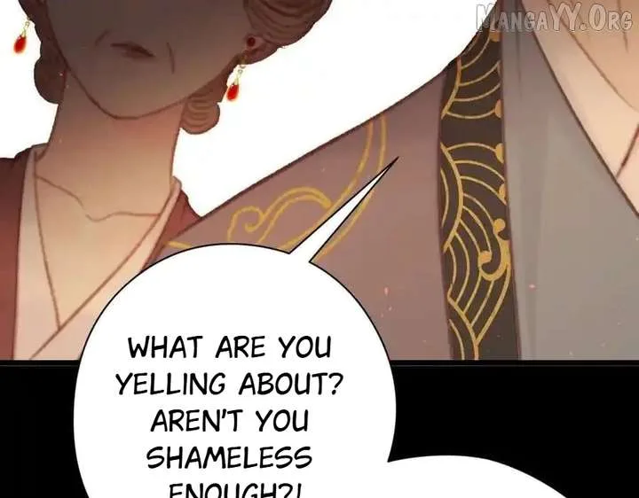 Shao Hua Long: Rebirth of the Evil Concubine’s Counterattack Chapter 26 page 212