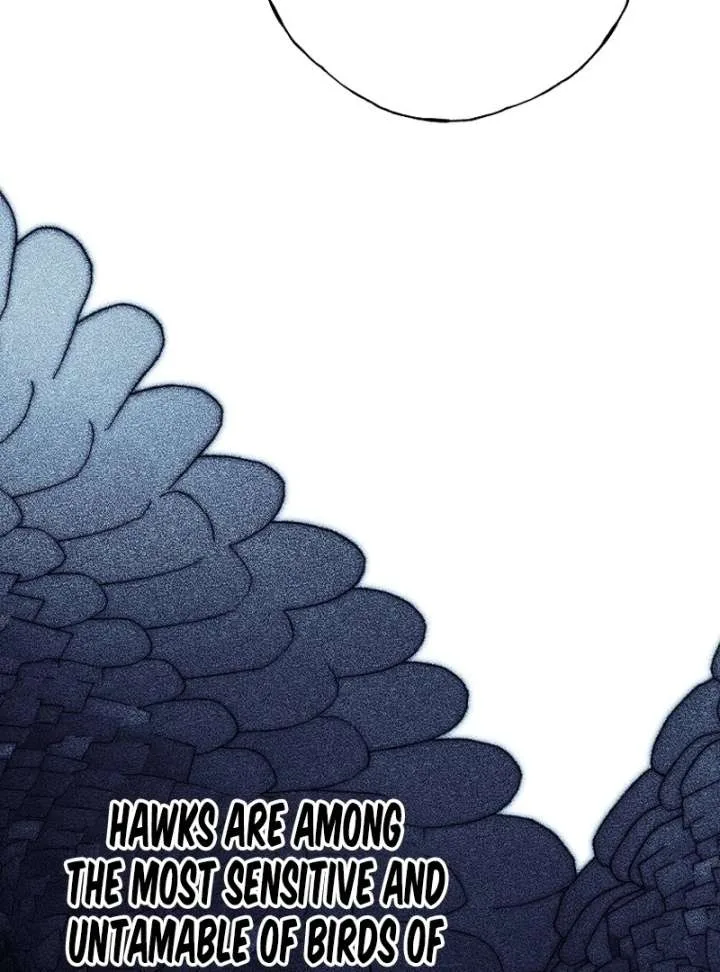Shards of a Broken Glass Slipper Chapter 23 page 13