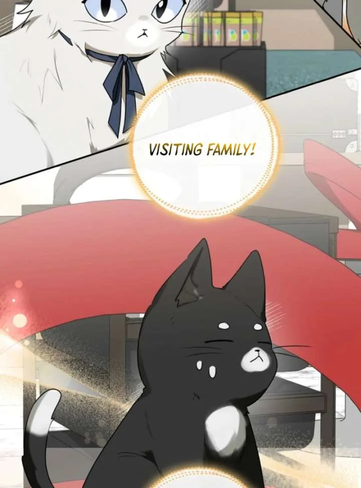 Starting Today, I’m the Butler of Five Men Chapter 1 page 19