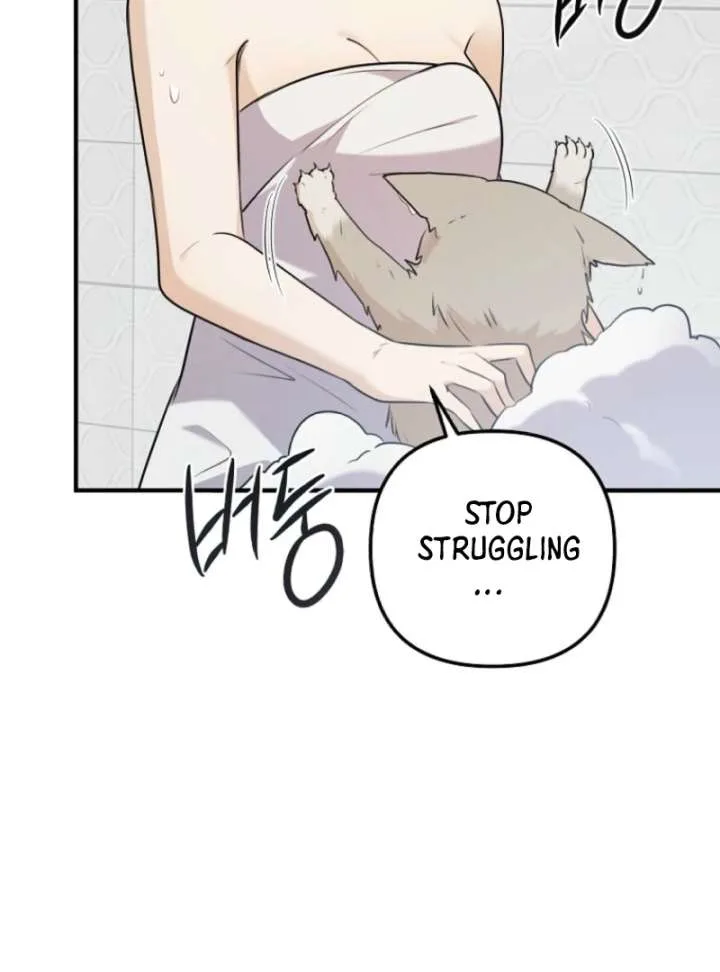 Starting Today, I’m the Butler of Five Men Chapter 1 page 127
