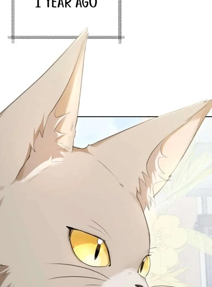 Starting Today, I’m the Butler of Five Men Chapter 1 page 39
