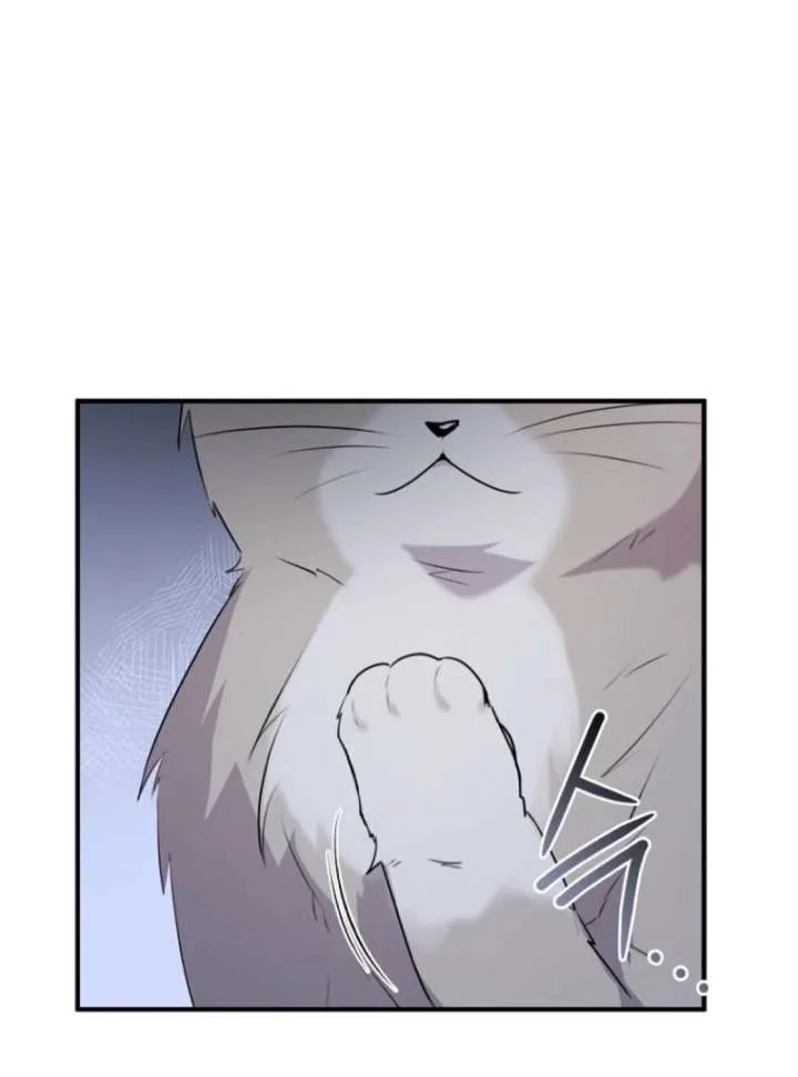 Starting Today, I’m the Butler of Five Men Chapter 1 page 147