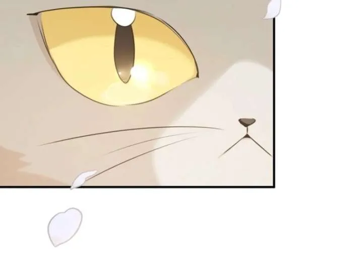 Starting Today, I’m the Butler of Five Men Chapter 1 page 143