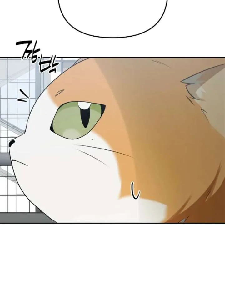 Starting Today, I’m the Butler of Five Men Chapter 8 page 139