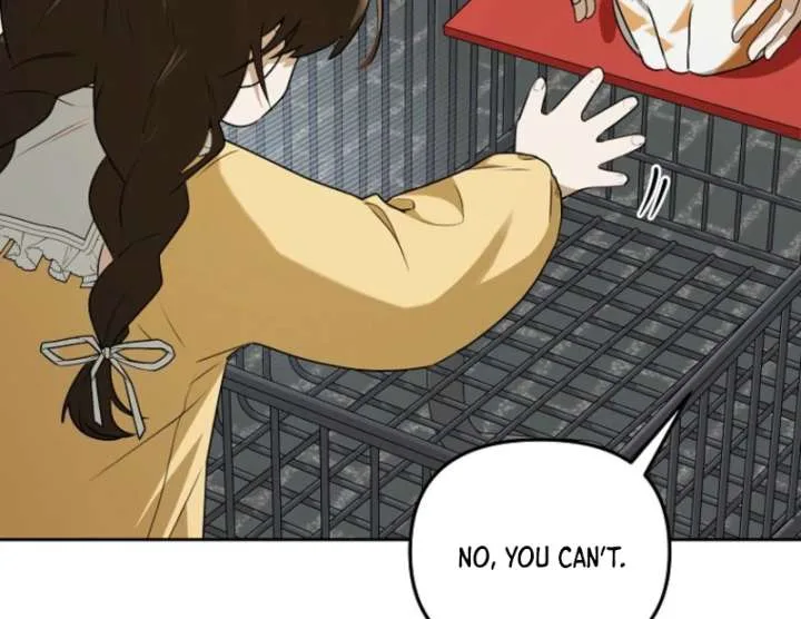 Starting Today, I’m the Butler of Five Men Chapter 8 page 142