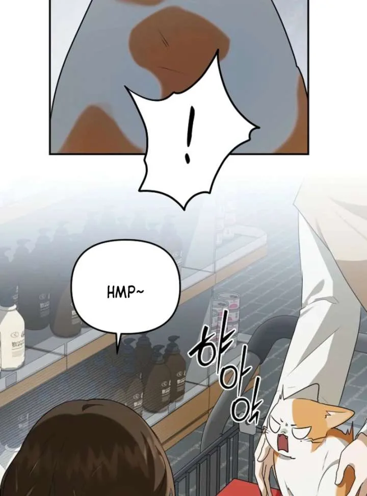 Starting Today, I’m the Butler of Five Men Chapter 8 page 141