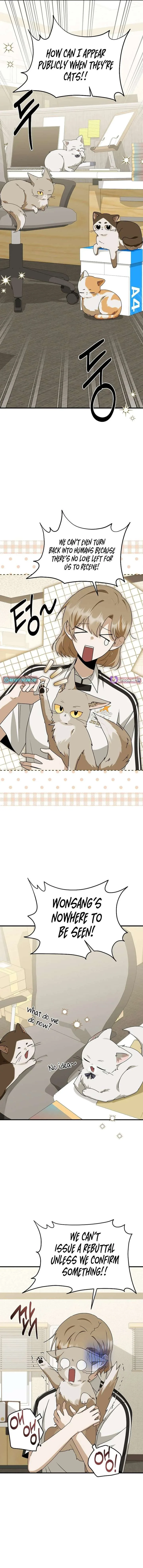 Starting Today, I’m the Butler of Five Men Chapter 28 page 7