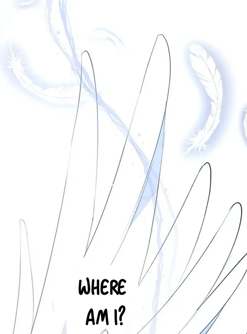 Steal from the Devil’s Pocket Chapter 11 page 8