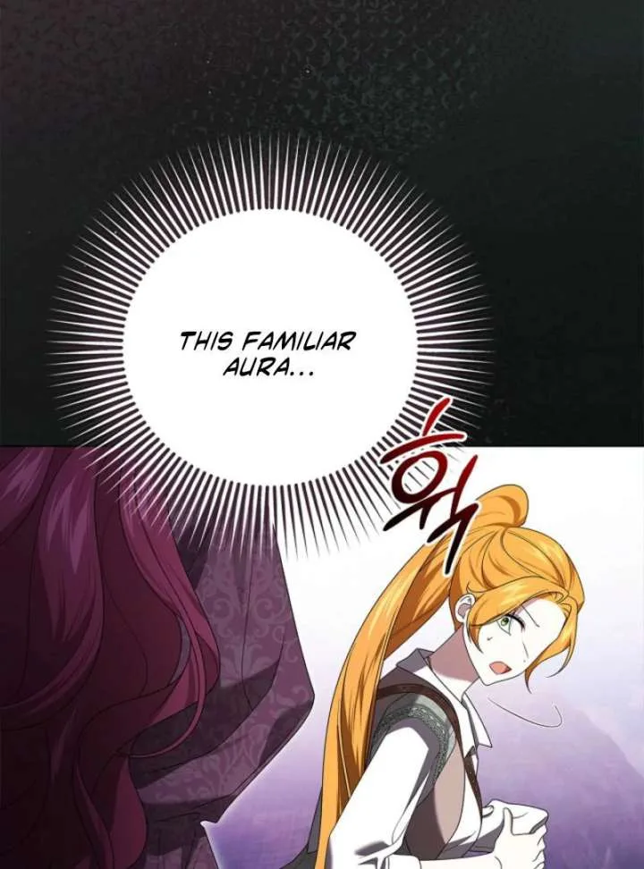 Sub Male Lead, Come to My Bed Chapter 26 page 95