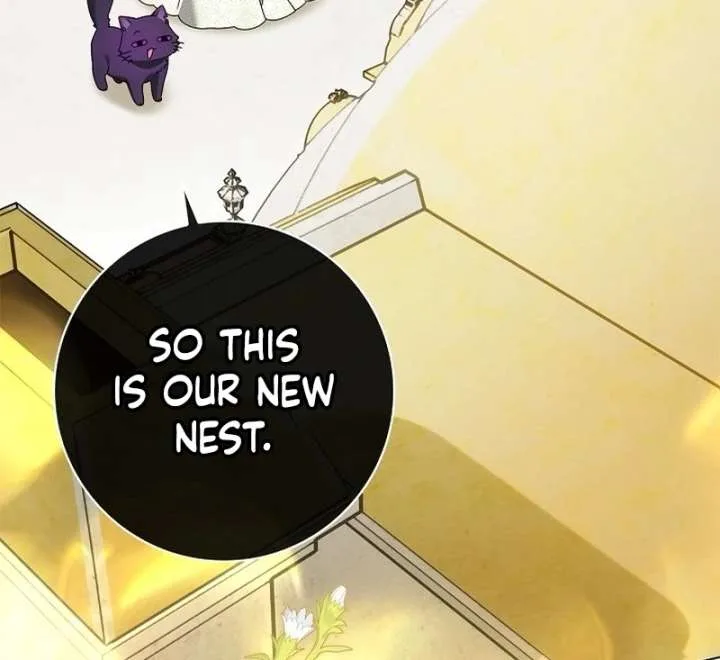 Sub Male Lead, Come to My Bed Chapter 36 page 97