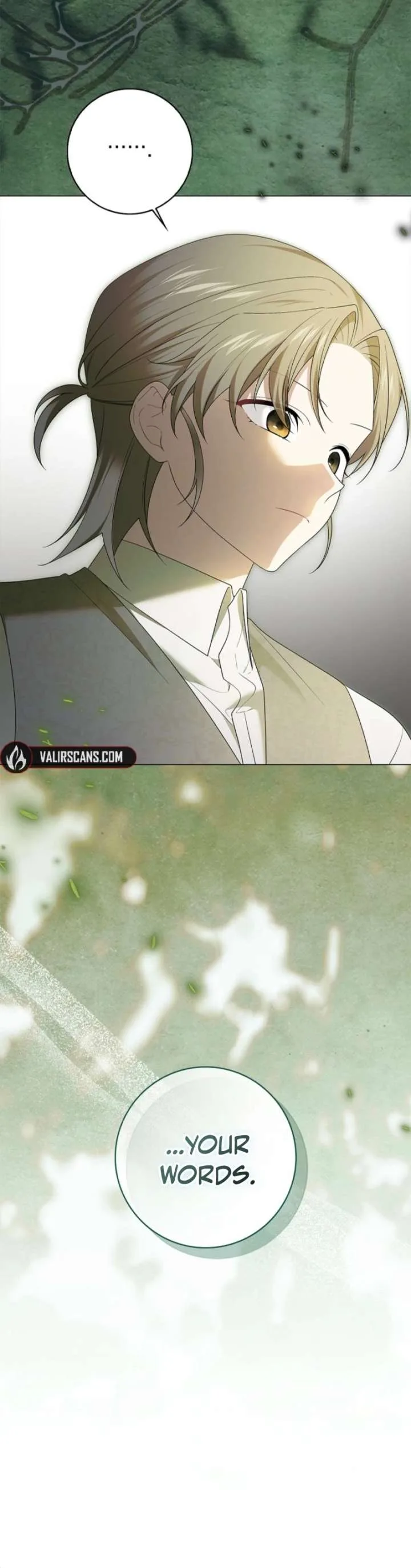 Sub Male Lead, Come to My Bed Chapter 46 page 29