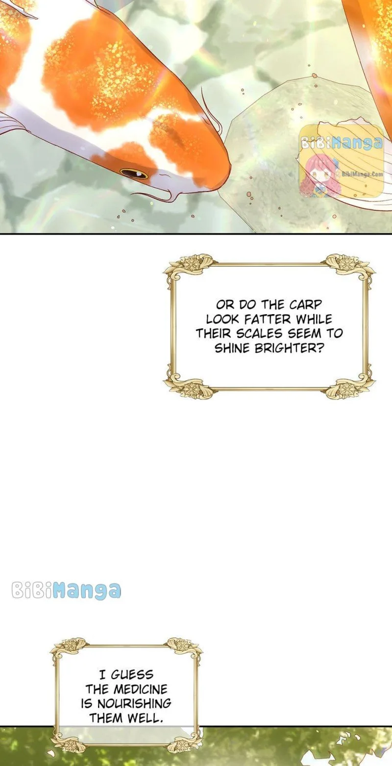 Surviving As A Maid Chapter 73 page 48