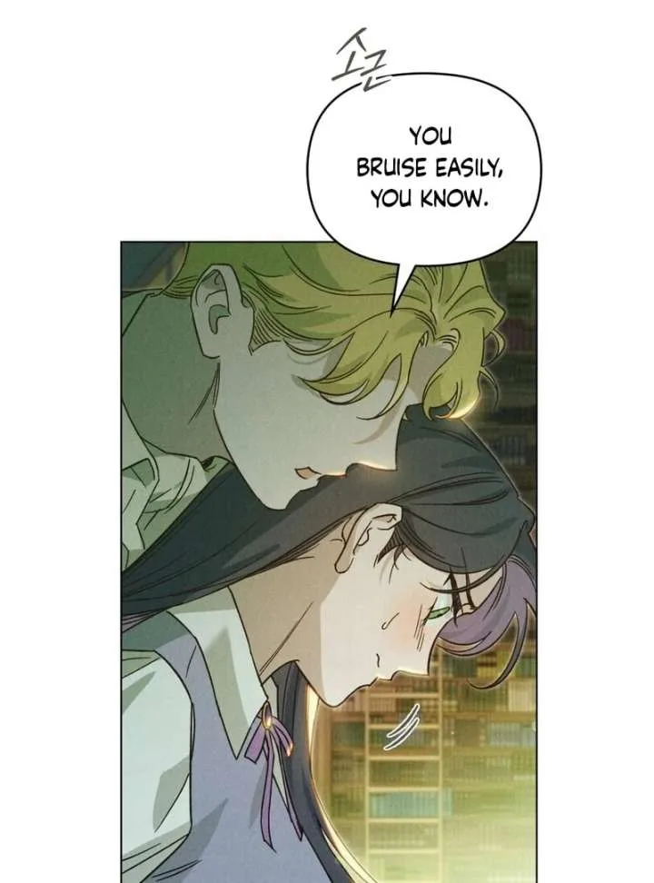 The Butterfly That Swallowed the Mist Chapter 12 page 4