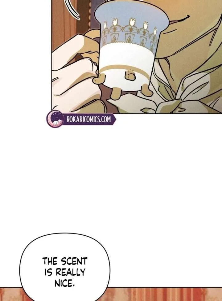 The Butterfly That Swallowed the Mist Chapter 19 page 19