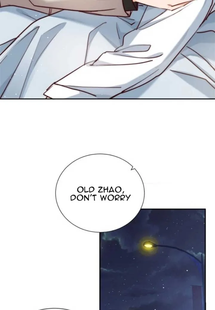 The Cold President’s Little Cutie Chapter 14 page 24
