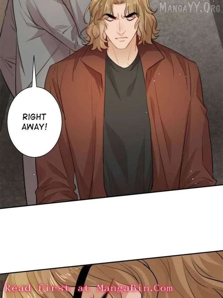 The Cold President’s Little Cutie Chapter 42 page 41
