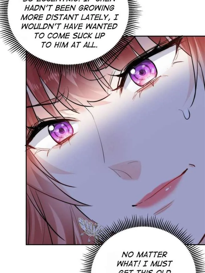 The Cold President’s Little Cutie Chapter 50 page 66