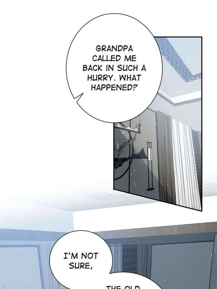 The Cold President’s Little Cutie Chapter 57 page 11
