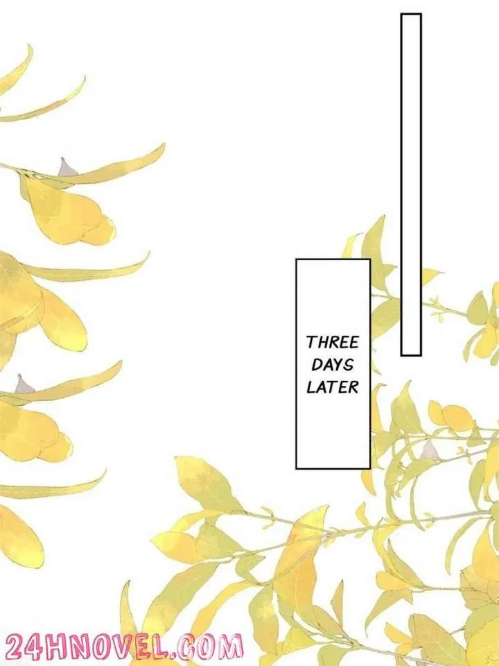 The Cold President’s Little Cutie Chapter 60 page 34