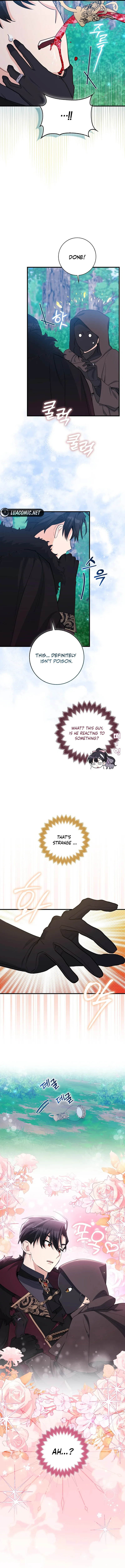 The Crazy Killer Whale’s Favourite Penguin Chapter 16 page 12