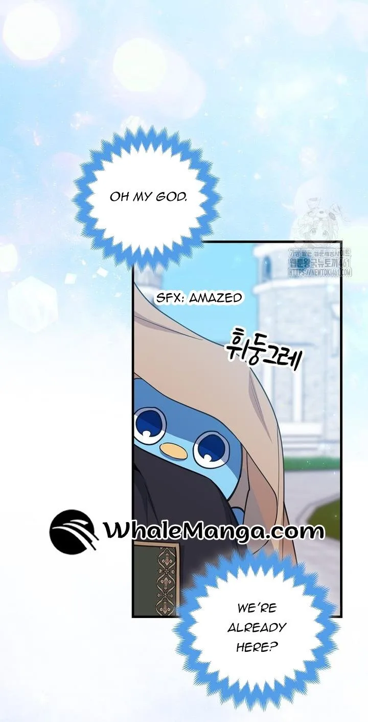 The Crazy Killer Whale’s Favourite Penguin Chapter 27 page 12