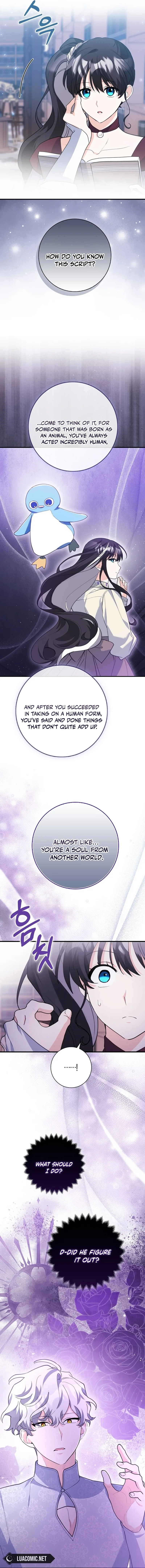The Crazy Killer Whale’s Favourite Penguin Chapter 37 page 15