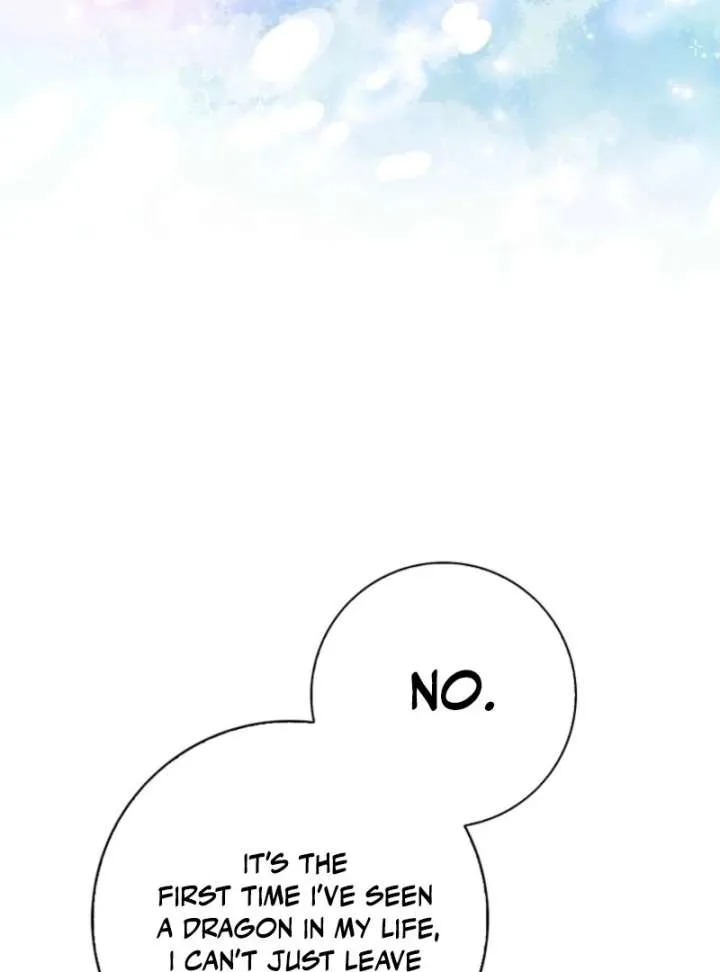 The Crazy Killer Whale’s Favourite Penguin Chapter 66 page 79