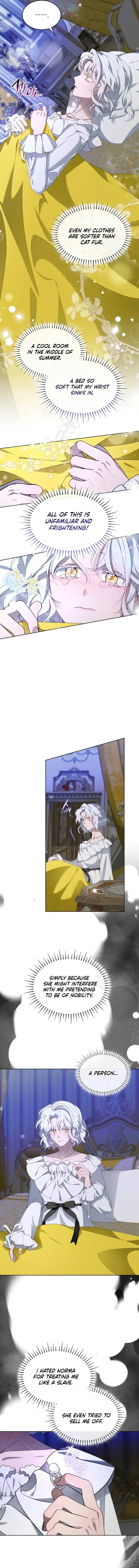 The Day The Real One Appeared Chapter 2 page 8